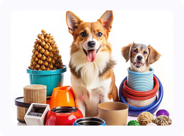 Corgi and puppy surrounded by colorful pet products