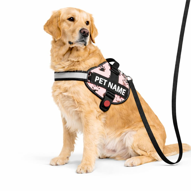Pink Paw Custom Reflective Harness Set