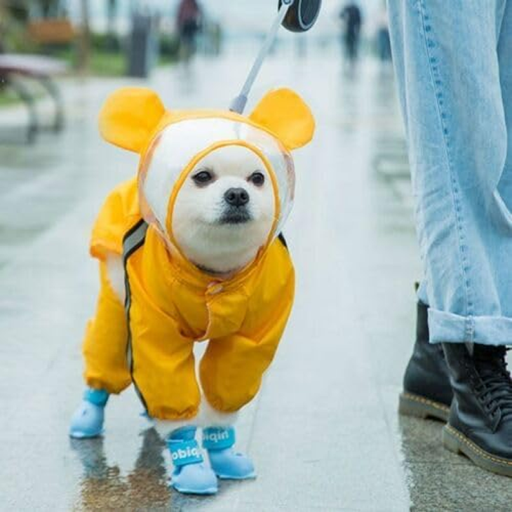 Full Coverage Transparent Dog Raincoat