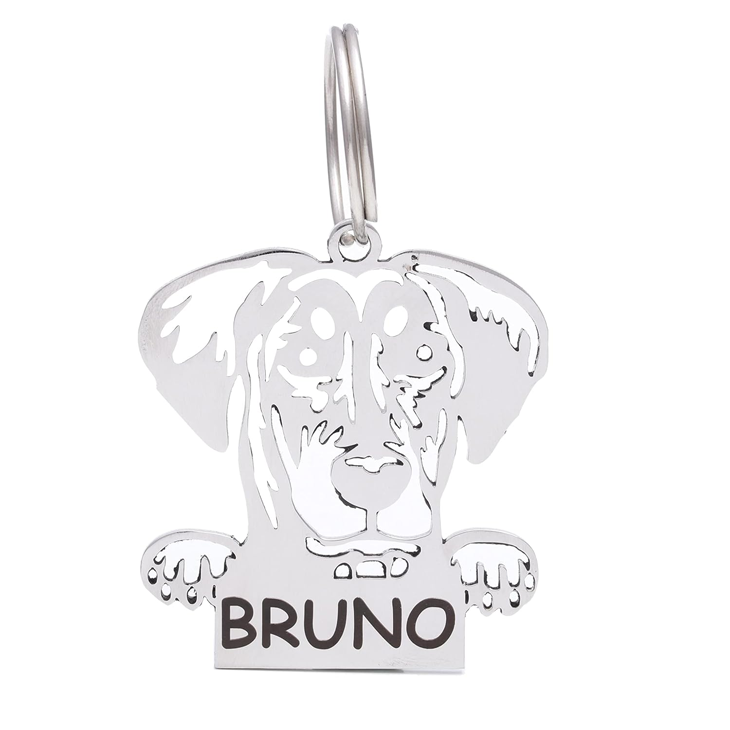 Personalized Stainless Steel Engraved Dog ID Tag