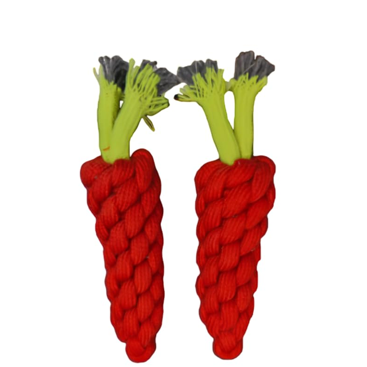 Braided Cotton Carrot Dog Toy