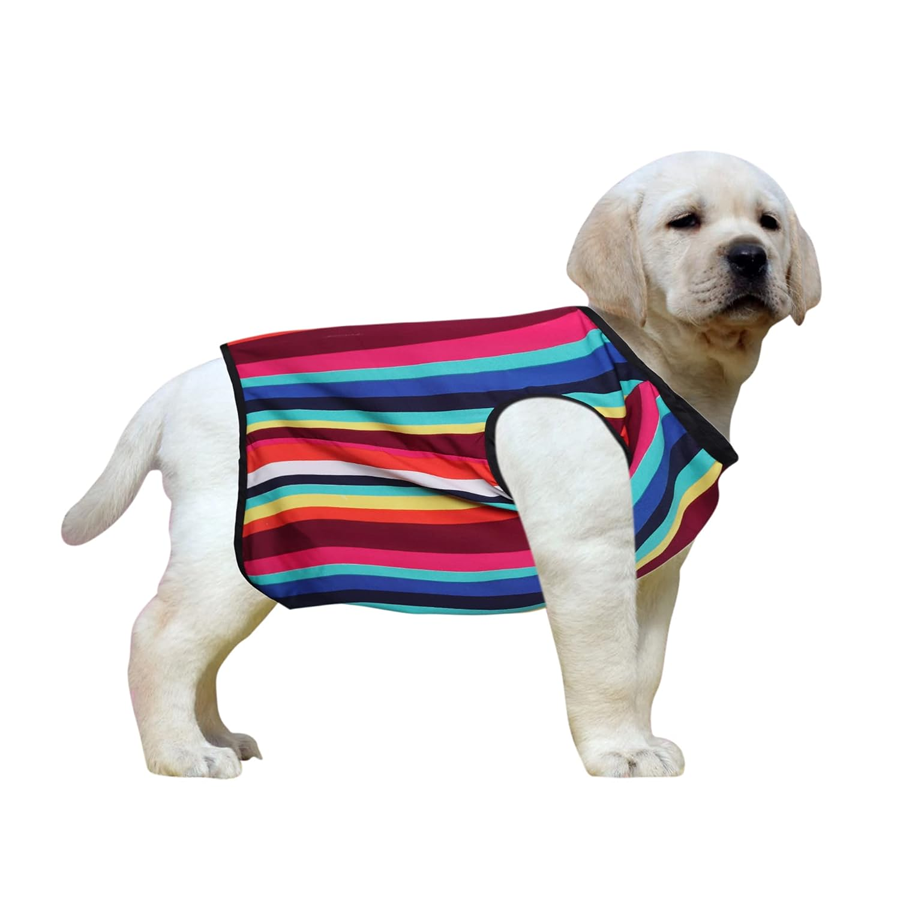 Rainbow Stripe Sleeveless Pupwear Tee