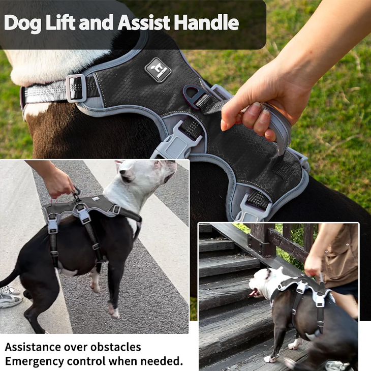 Shadow Guard Reflective Escapeproof Dog Harness