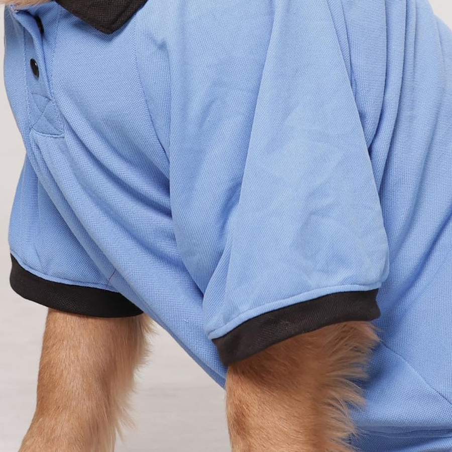 Sky Blue Sporty Polo Pup Shirt