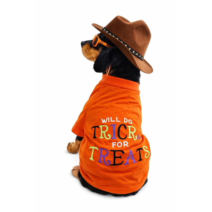 Trick Treat Halloween Orange Dog Tee