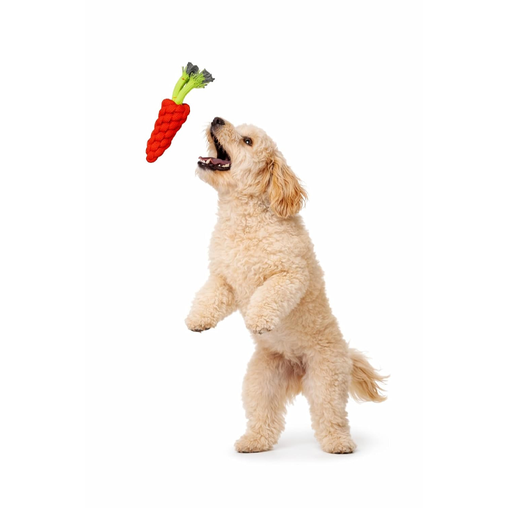 Braided Cotton Carrot Dog Toy