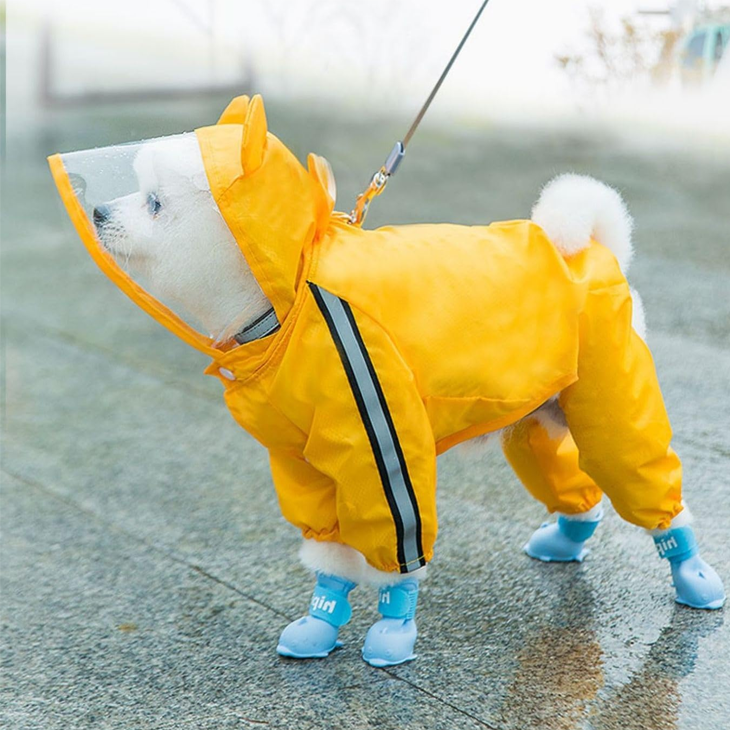 Full Coverage Transparent Dog Raincoat