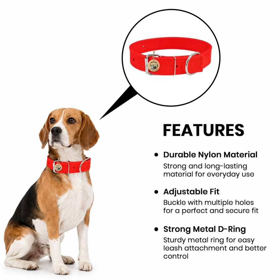 Red Nylon Everyday Pup Collar