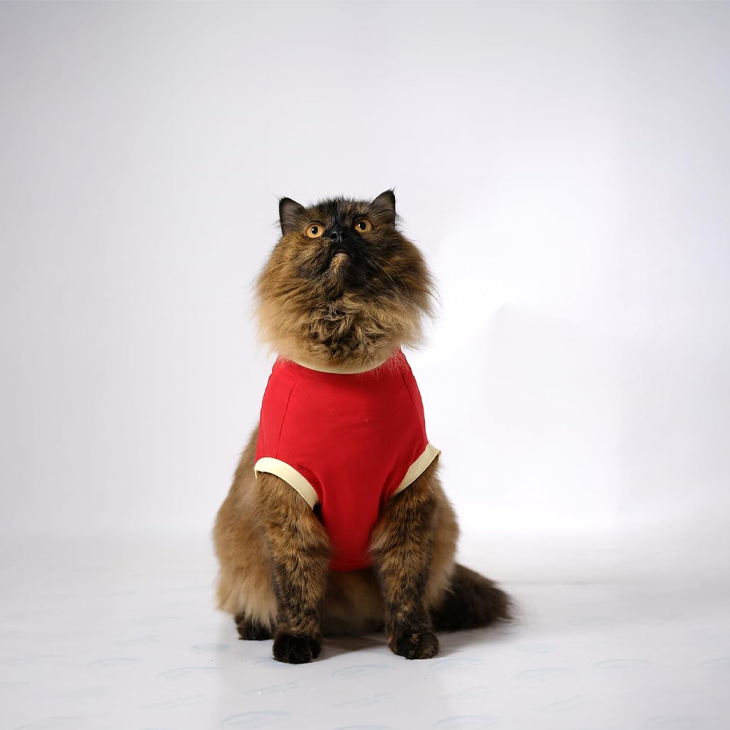 Playful Lettered Cotton Cat Tee Shirt