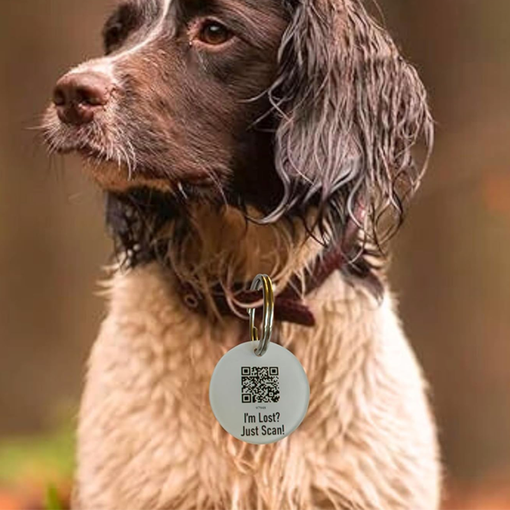 Glossy Acrylic Personalized Pet Safety Tag