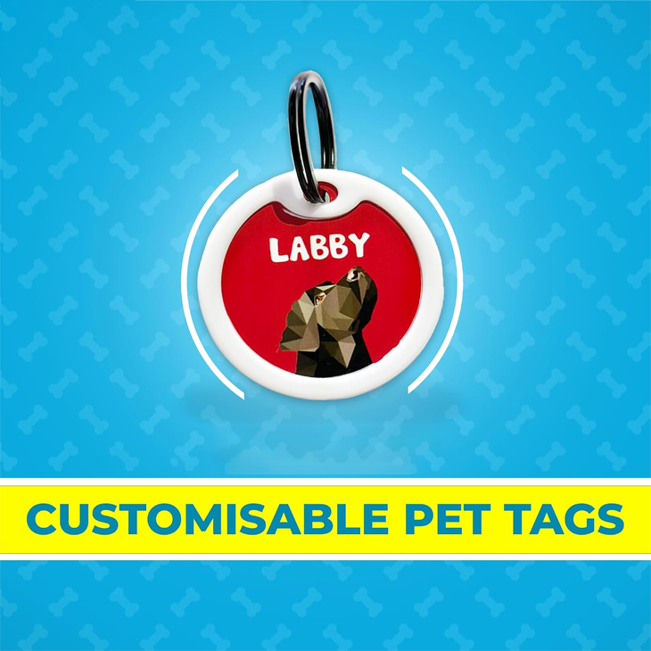 Teal Aluminium Waterproof Pet Identity Tag