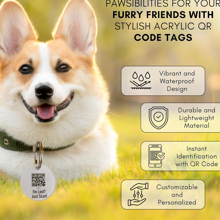 Glossy Acrylic Personalized Pet Safety Tag