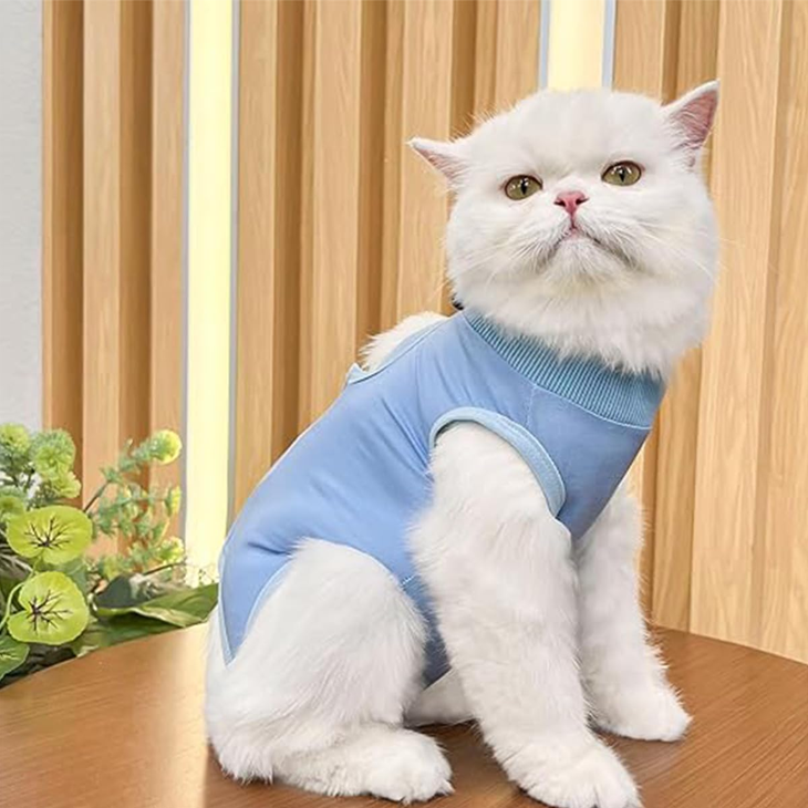 Soft Modal Post Surgery Cat Recovery Suit