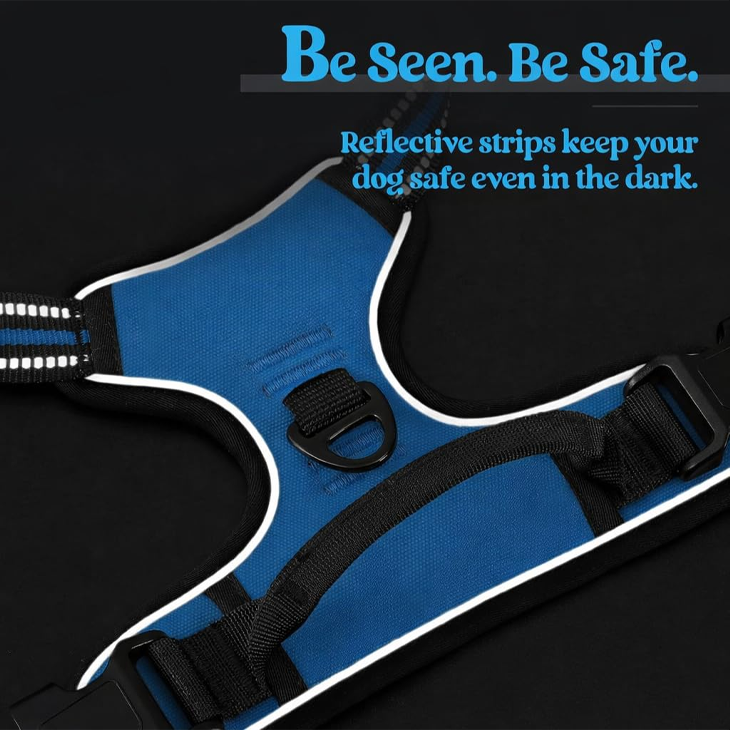 Midnight Blue Reflective Training Harness Set