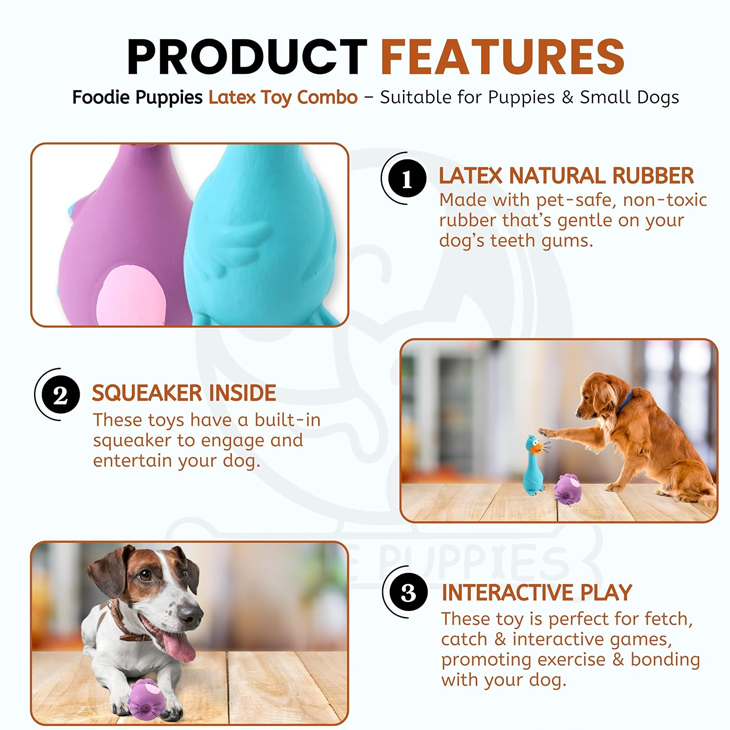 Natural Latex Rubber Squeaky Toy