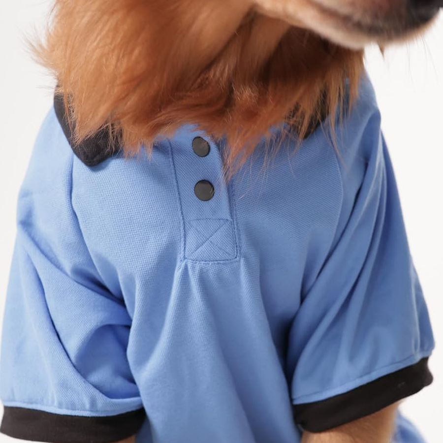 Sky Blue Sporty Polo Pup Shirt