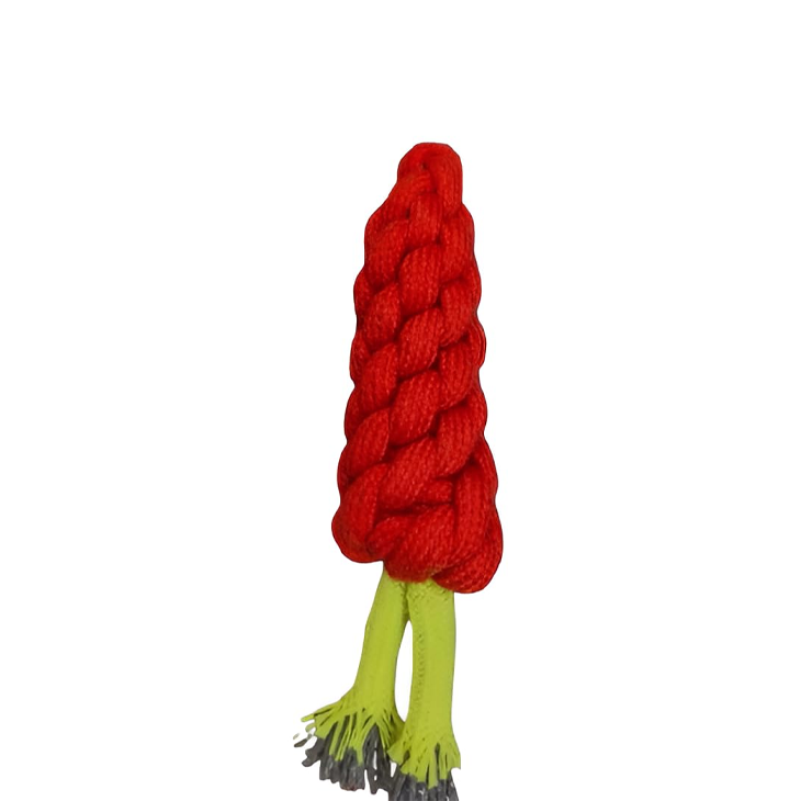 Braided Cotton Carrot Dog Toy
