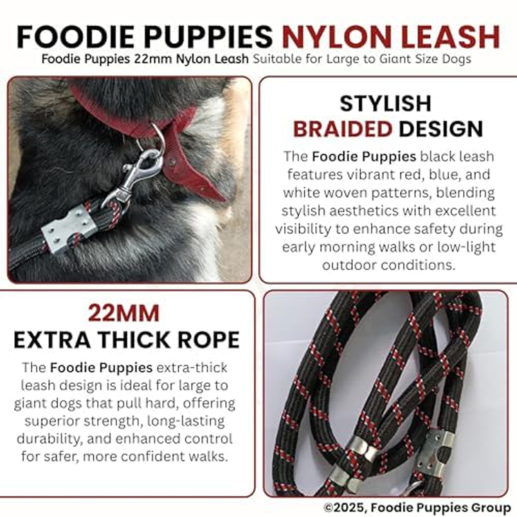 Adventure Ready Nylon Training Rope Leash
