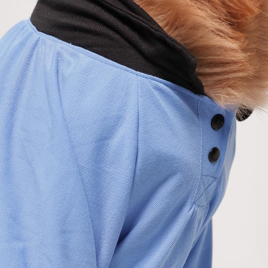 Sky Blue Sporty Polo Pup Shirt