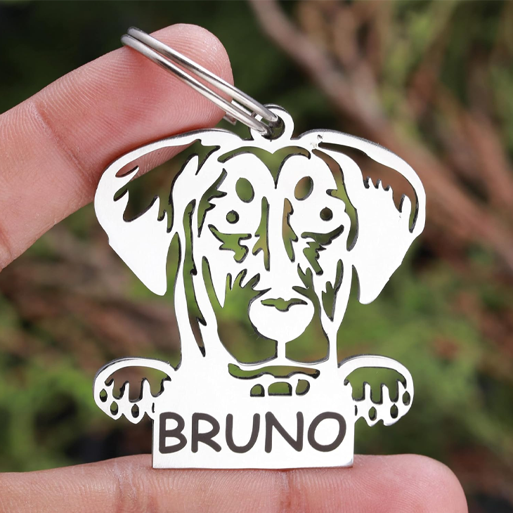 Personalized Stainless Steel Engraved Dog ID Tag