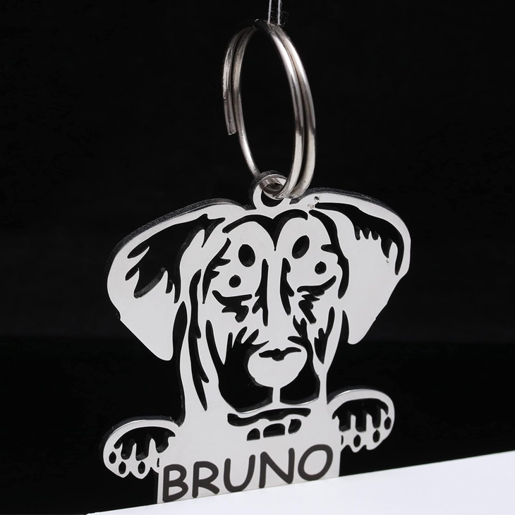 Personalized Stainless Steel Engraved Dog ID Tag