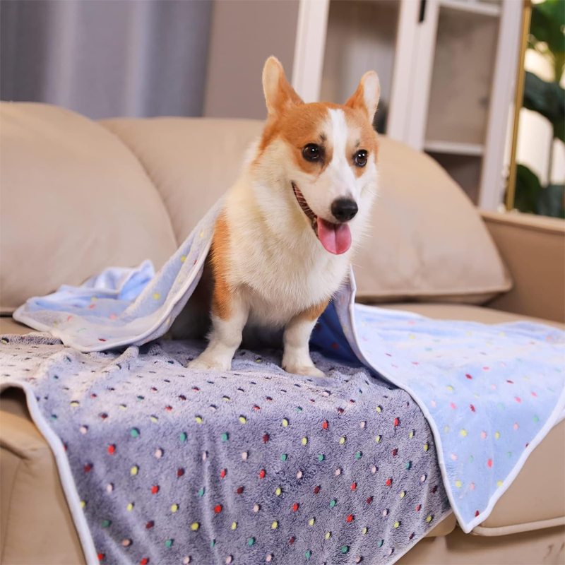 Blue Velvet Floral Pet Throw Blanket