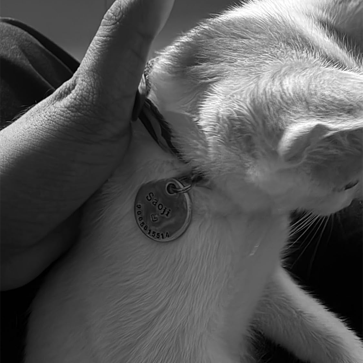 Coppercraft Personalized Hand Stamped Pet Tag