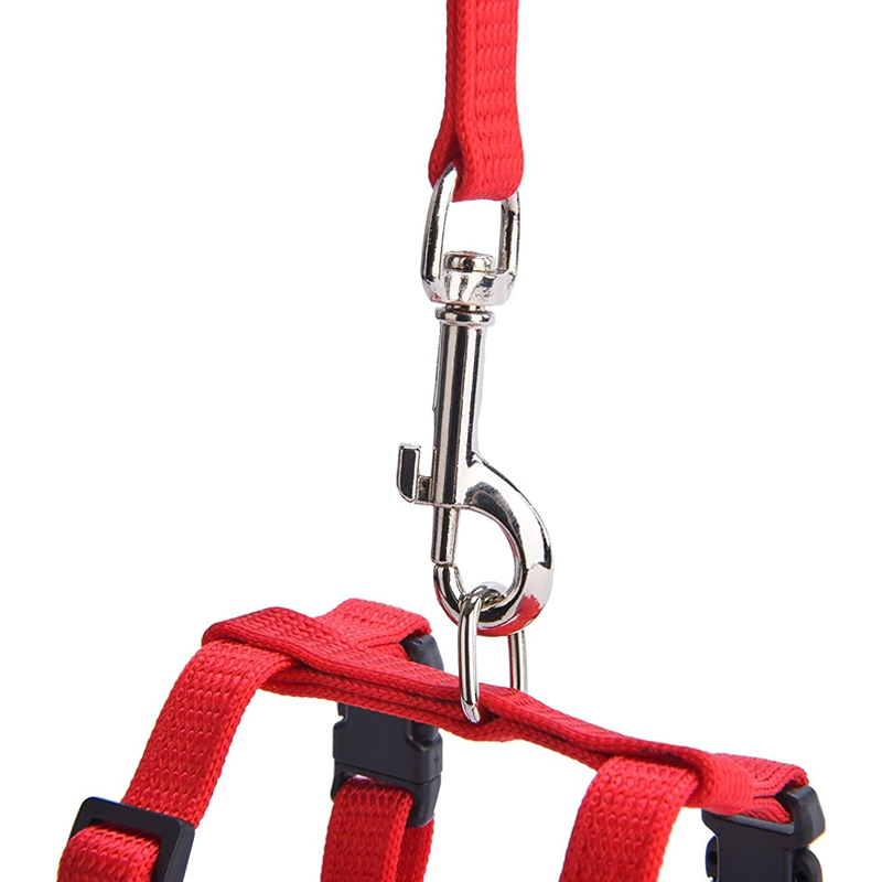 Crimson Cozy Escapeproof Catwear Set