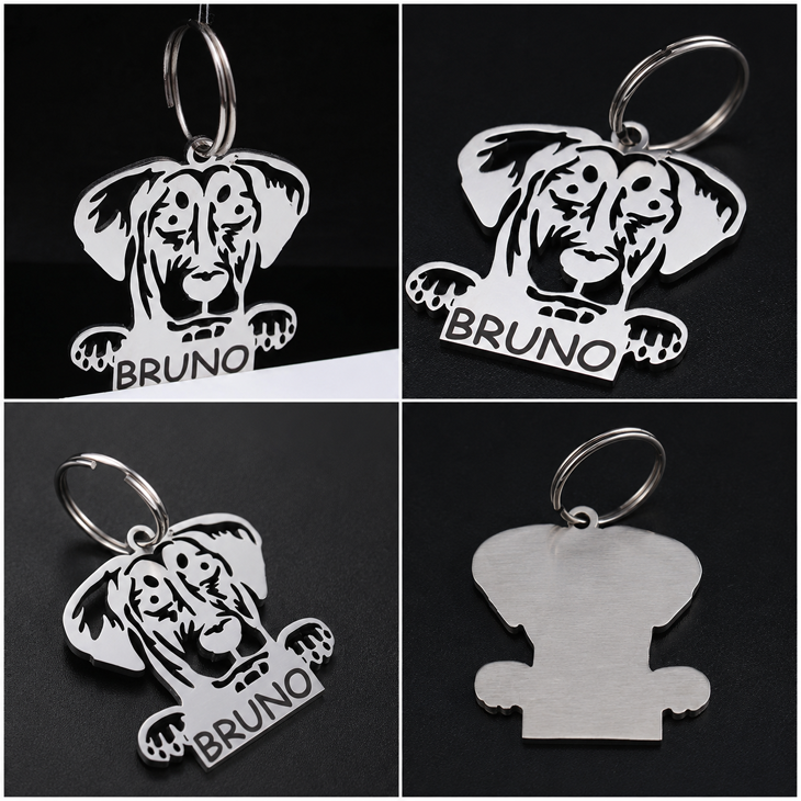 Personalized Stainless Steel Engraved Dog ID Tag