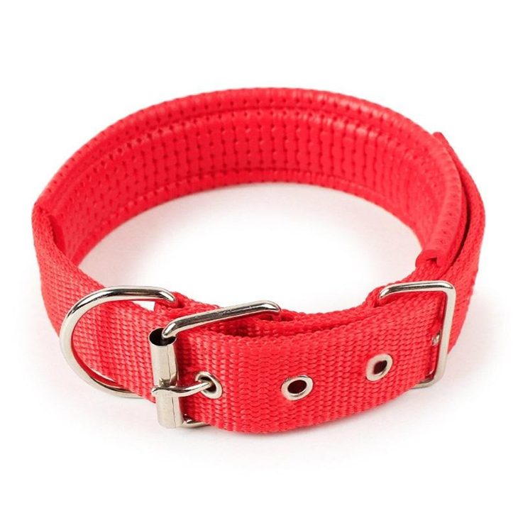 Scarlet Nylon Everyday Walking Combo Set