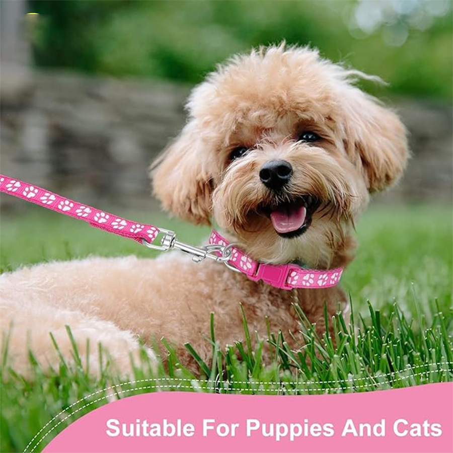 Blush Pawbell Petite Walking Set