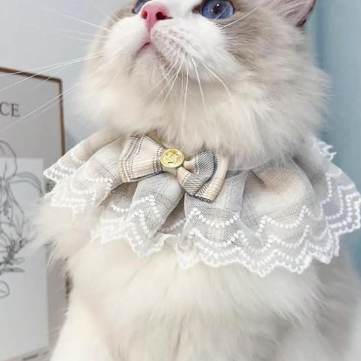 Lace Bow Pearl Pet Festival Collar