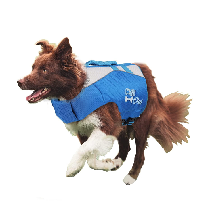 Lightweight Blue Reflective Dog Safety Jacket