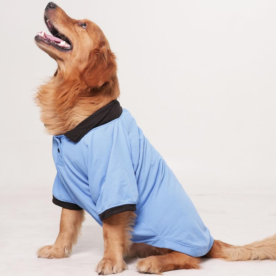 Sky Blue Sporty Polo Pup Shirt